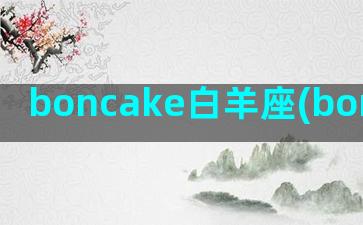 boncake白羊座(boncake创始人)