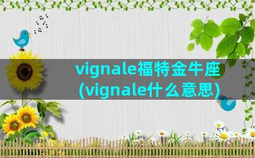 vignale福特金牛座(vignale什么意思)