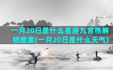 一月20日是什么星座九宫格解锁图案(一月20日是什么天气)