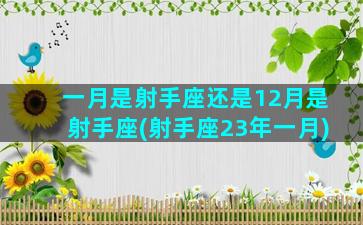 一月是射手座还是12月是射手座(射手座23年一月)