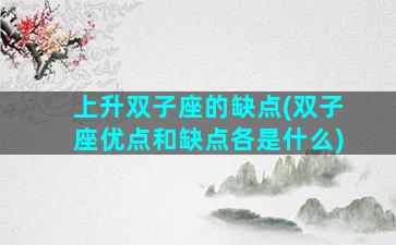 上升双子座的缺点(双子座优点和缺点各是什么)