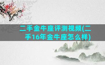 二手金牛座评测视频(二手16年金牛座怎么样)