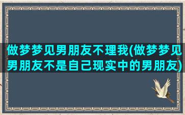 做梦梦见男朋友不理我(做梦梦见男朋友不是自己现实中的男朋友)