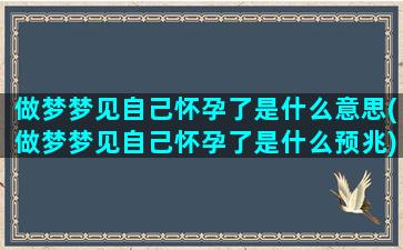 做梦梦见自己怀孕了是什么意思(做梦梦见自己怀孕了是什么预兆)