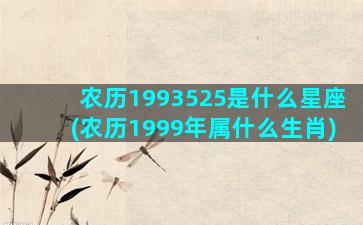 农历1993525是什么星座(农历1999年属什么生肖)