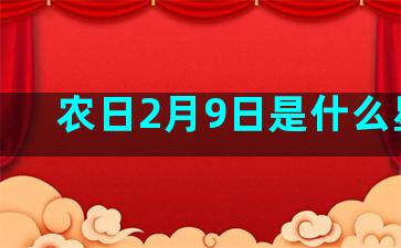 农日2月9日是什么星座