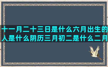 十一月二十三日是什么六月出生的人是什么阴历三月初二是什么二月二十五号是什么六月份生的是什么适合十二星座的一句话(十一月二十三日是黄道吉日吗)