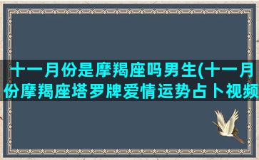 十一月份是摩羯座吗男生(十一月份摩羯座塔罗牌爱情运势占卜视频20121年)