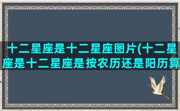 十二星座是十二星座图片(十二星座是十二星座是按农历还是阳历算的)