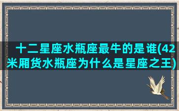 十二星座水瓶座最牛的是谁(42米厢货水瓶座为什么是星座之王)