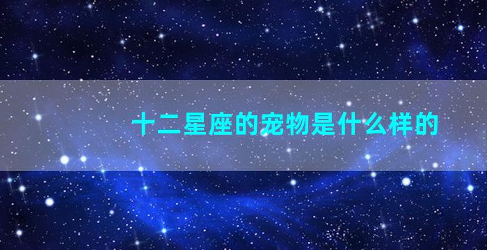 十二星座的宠物是什么样的