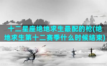 十二星座绝地求生最配的枪(绝地求生第十二赛季什么时候结束)