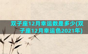 双子座12月幸运数是多少(双子座12月幸运色2021年)