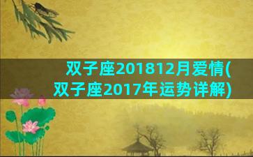 双子座201812月爱情(双子座2017年运势详解)