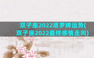 双子座2022塔罗牌运势(双子座2022最终感情走向)