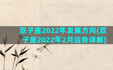 双子座2022年发展方向(双子座2022年2月运势详解)