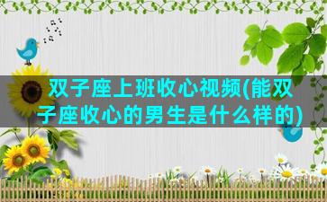 双子座上班收心视频(能双子座收心的男生是什么样的)