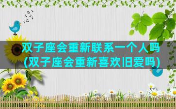 双子座会重新联系一个人吗(双子座会重新喜欢旧爱吗)