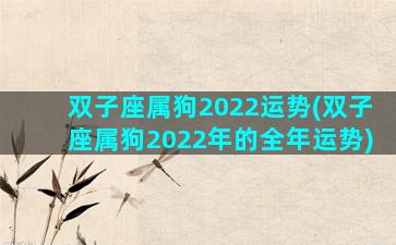 双子座属狗2022运势(双子座属狗2022年的全年运势)