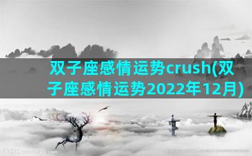 双子座感情运势crush(双子座感情运势2022年12月)