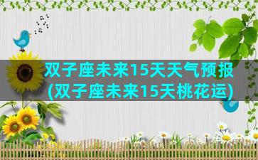 双子座未来15天天气预报(双子座未来15天桃花运)