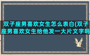 双子座男喜欢女生怎么表白(双子座男喜欢女生给他发一大片文字吗)