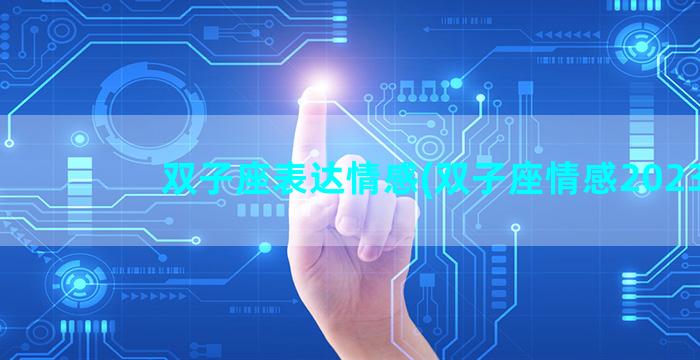 双子座表达情感(双子座情感2023)