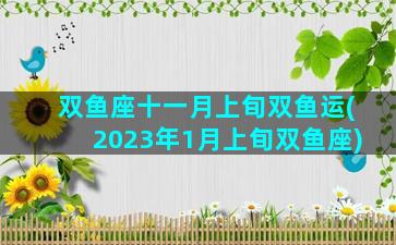 双鱼座十一月上旬双鱼运(2023年1月上旬双鱼座)