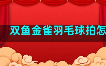 双鱼金雀羽毛球拍怎么样