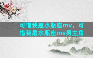 可惜我是水瓶座mv，可惜我是水瓶座mv男主角