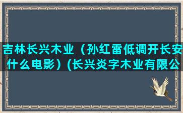 吉林长兴木业（孙红雷低调开长安什么电影）(长兴炎字木业有限公司)