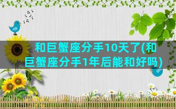 和巨蟹座分手10天了(和巨蟹座分手1年后能和好吗)