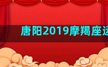 唐阳2019摩羯座运势