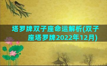 塔罗牌双子座命运解析(双子座塔罗牌2022年12月)