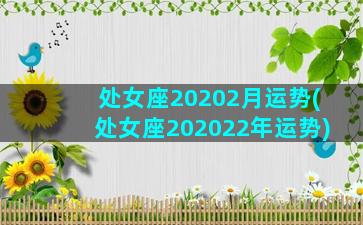 处女座20202月运势(处女座202022年运势)