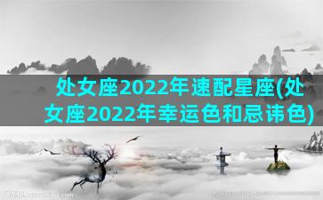 处女座2022年速配星座(处女座2022年幸运色和忌讳色)