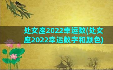 处女座2022幸运数(处女座2022幸运数字和颜色)