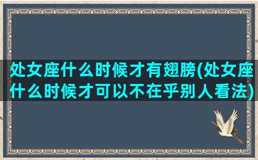 处女座什么时候才有翅膀(处女座什么时候才可以不在乎别人看法)