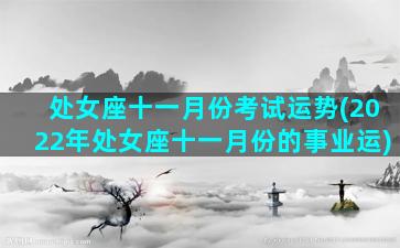 处女座十一月份考试运势(2022年处女座十一月份的事业运)