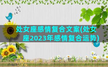 处女座感情复合文案(处女座2023年感情复合运势)