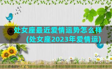 处女座最近爱情运势怎么样(处女座2023年爱情运)