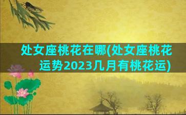 处女座桃花在哪(处女座桃花运势2023几月有桃花运)