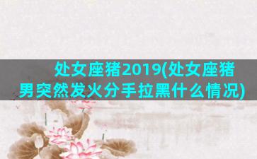 处女座猪2019(处女座猪男突然发火分手拉黑什么情况)