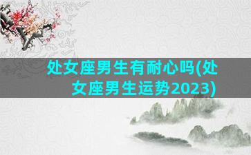 处女座男生有耐心吗(处女座男生运势2023)