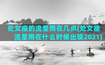 处女座的流星雨在几点(处女座流星雨在什么时候出现2021)