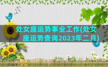 处女座运势事业工作(处女座运势查询2023年二月)