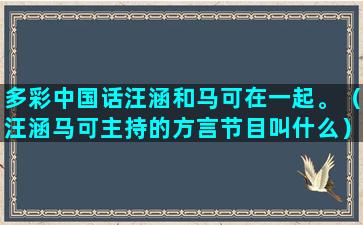 多彩中国话汪涵和马可在一起。（汪涵马可主持的方言节目叫什么）(多彩中国话撒贝宁)