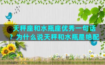 天秤座和水瓶座优秀一句话？为什么说天秤和水瓶是绝配