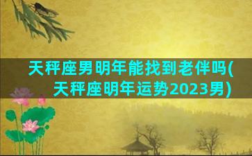 天秤座男明年能找到老伴吗(天秤座明年运势2023男)