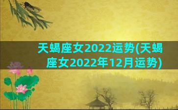 天蝎座女2022运势(天蝎座女2022年12月运势)